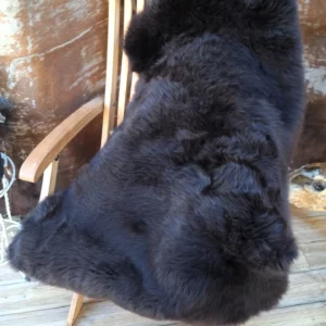 Peau de mouton 12