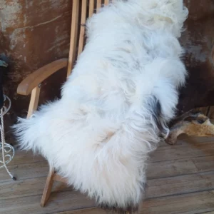 Peau de mouton 19