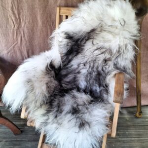 Peau de mouton 18